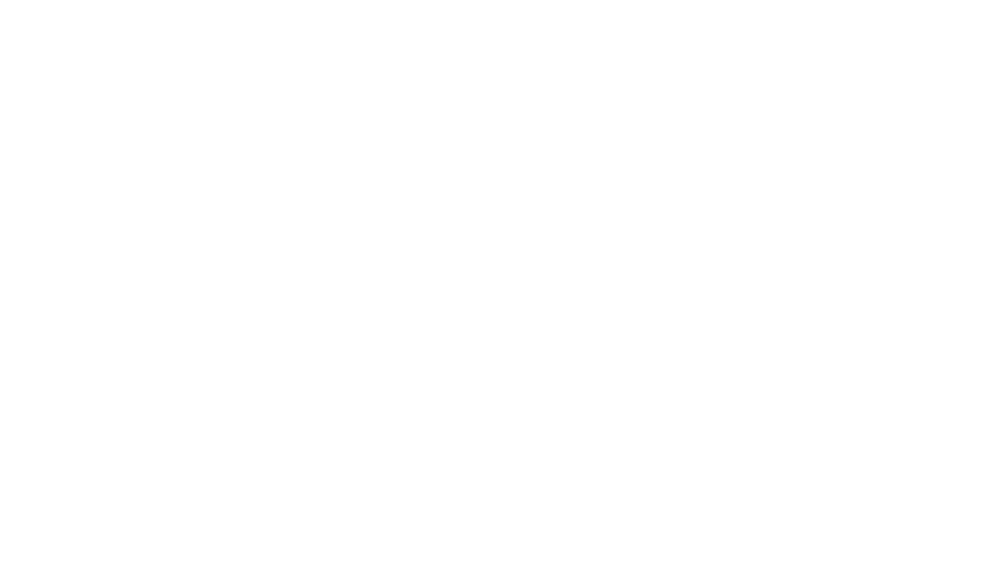 l' ideale boutique